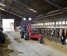 Weidemann 1160 eHoftrac beim Futteranschieben im Stall.