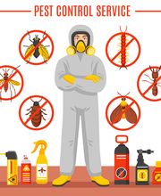 Schädlingsbekämpfung Veit Inh. Marc Veit Bild 1