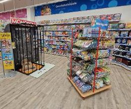 Rofu Kinderland Mutterstadt Bild 2