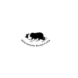 Ambulatorio Veterinario Cerchione Dr. Pierpaolo logo