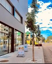 Farmacia Contrada dei Patrizi Pregassona Bild 7