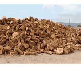 700810-Lenas-y-Carbones-Jorda-carrusel-2-min.png