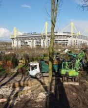 Baumdienst Breuker GbR Bild 2