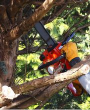 Uckermark Grün GmbH Bild 3