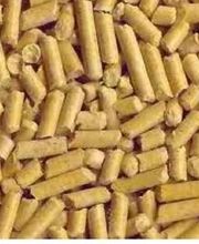 Forez Combustibles Eco image 6
