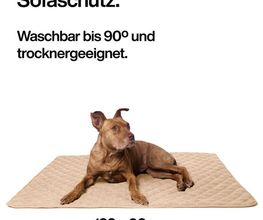 DBULLDOG GmbH Bild 1
