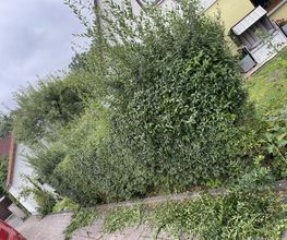 IMG_6622.jpeg