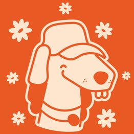 MOUSTACHE Toilettage