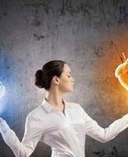 PI Management - PIman - Held Daniel Bild 6