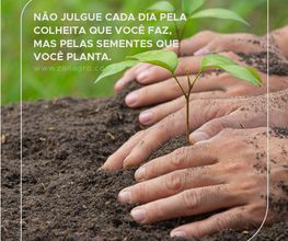 Zanagro Agrocomercial imagen 17