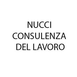 Nucci Consulenza del Lavoro e Legale di Benedetti A & I logo
