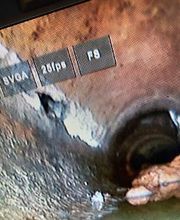 Desatascos Mario López imagen 17