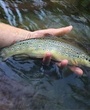 FISCHEREIARTIKEL BERNHARD AG Bild 3