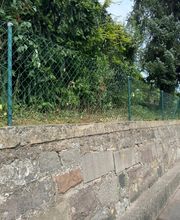 Sicherungsschnitt von herausragendem Astgut in die Fahrbahn