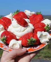 FROMAGERIE VARSOISE image 13