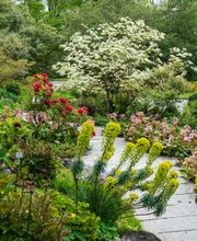 Matthias Mahncke Garten- und Landschaftbau Bild 1