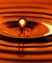 Bischoff Transporte AG Bild 1