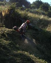 Vert Coop Services image 3