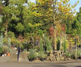 Grasland Gärtnerei, Bergheim, Garten