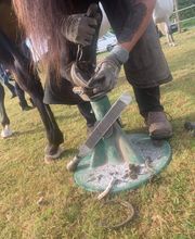 Champeaux Élodie marechal ferrant 27 eure image 3