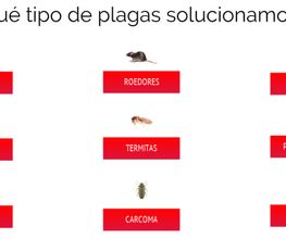 tratamientos_control_plagas.png