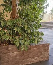 TGS Tiefbau & Gartengestaltung Schiffer GmbH Bild 2