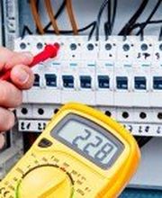 Coille Pascal image 2