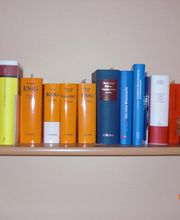 Dorothee Hamel Bild 1