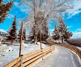 Winter World Wallisellen Bild 4