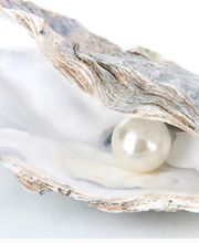 Prisma Druck GmbH Bild 2