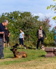 Agil'Canin 36 image 5