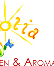 Physio im Telli Bild 4