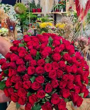 Monceau Fleurs image 3