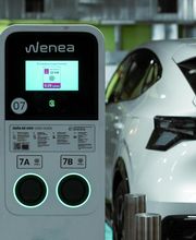 Wenea imagen 5