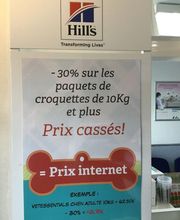 Duvivier Sophie image 15