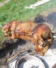 La Tour Ambulante image 17