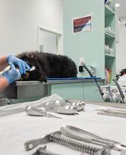 Zahnbehandlungsstation in Medivet Tierarztpraxis Unterhaching