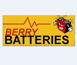 Berry Batteries image 2