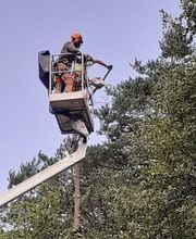 servicios-de-arboricultura-en-todo-cataluna.jpg