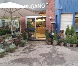 Floria Blumen Bild 17
