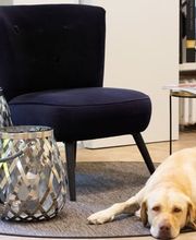 Schweizer Wohnkonzept eGbR Bild 2