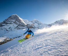 Kleine Scheidegg - Top of Hiking Bild 2