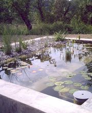 JLS Piscine image 5