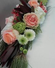 Chlorophylle image 1