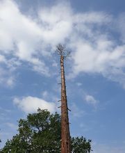 Entreprise Lecoq image 10