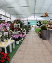 Gallery Professionale