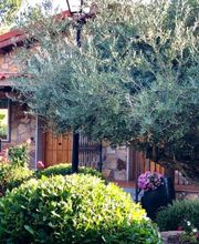 El Encanto del Valle del Lozoya imagen 9