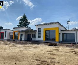 egalisierungsanstrich-farbanstrich-putz.jpg