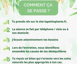 La Petite Plante image 11