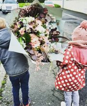 Pivoine fleuriste image 3